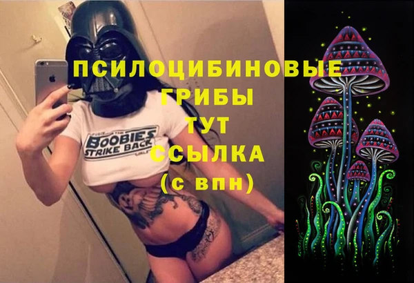 a pvp Абаза