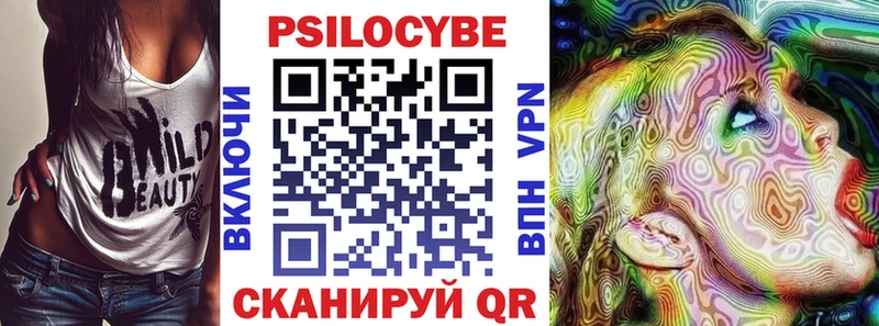 Псилоцибиновые грибы Psilocybe Кудымкар