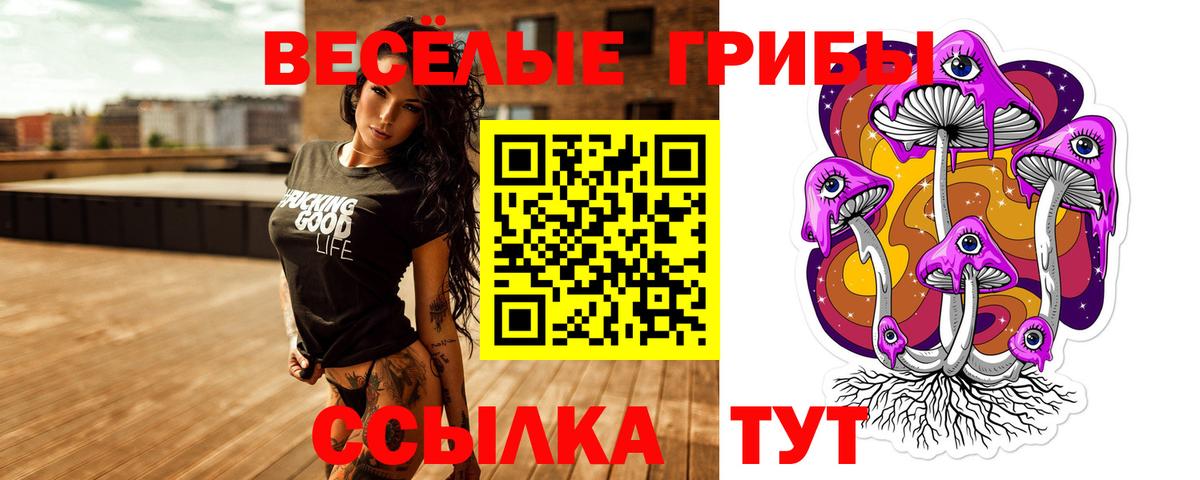 Галлюциногенные грибы Cubensis Кудымкар